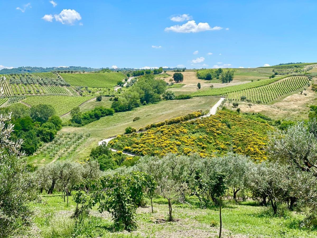 Agriturismo Le Masciare Paternopoli Eksteriør bilde