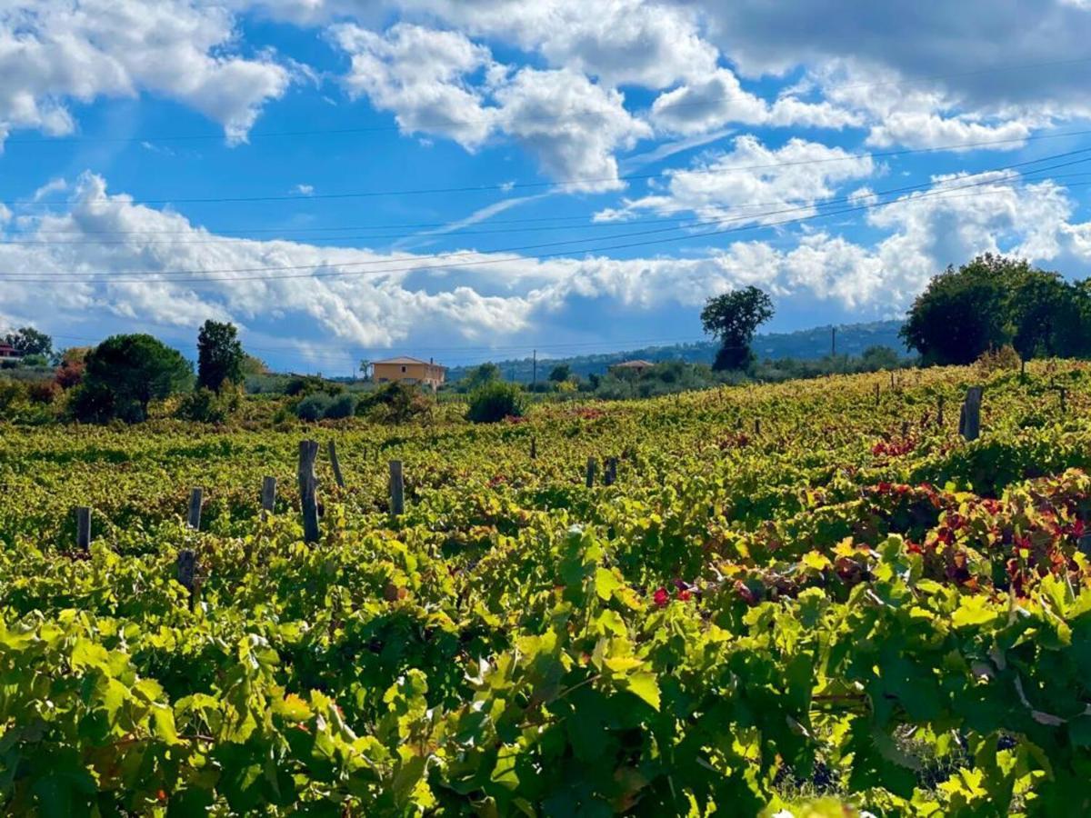 Agriturismo Le Masciare Paternopoli Eksteriør bilde